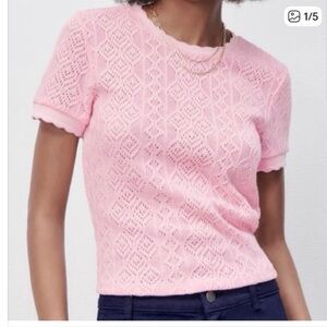 Zara Baby Pink Crochet Style Scalloped Knit Top Women’s Size Medium